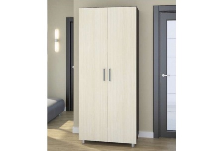 Шкаф 2-х Створчатый ШК-202-1 Комбинированный (Д-920 х В-2005 х Г-500 мм)/Разные Цвета